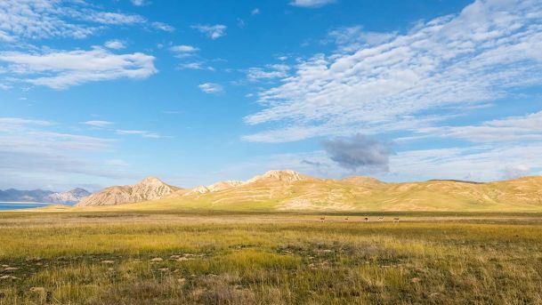 China’s dominance of the global supply chain for critical materials poses significant risk. How can Pamir help?